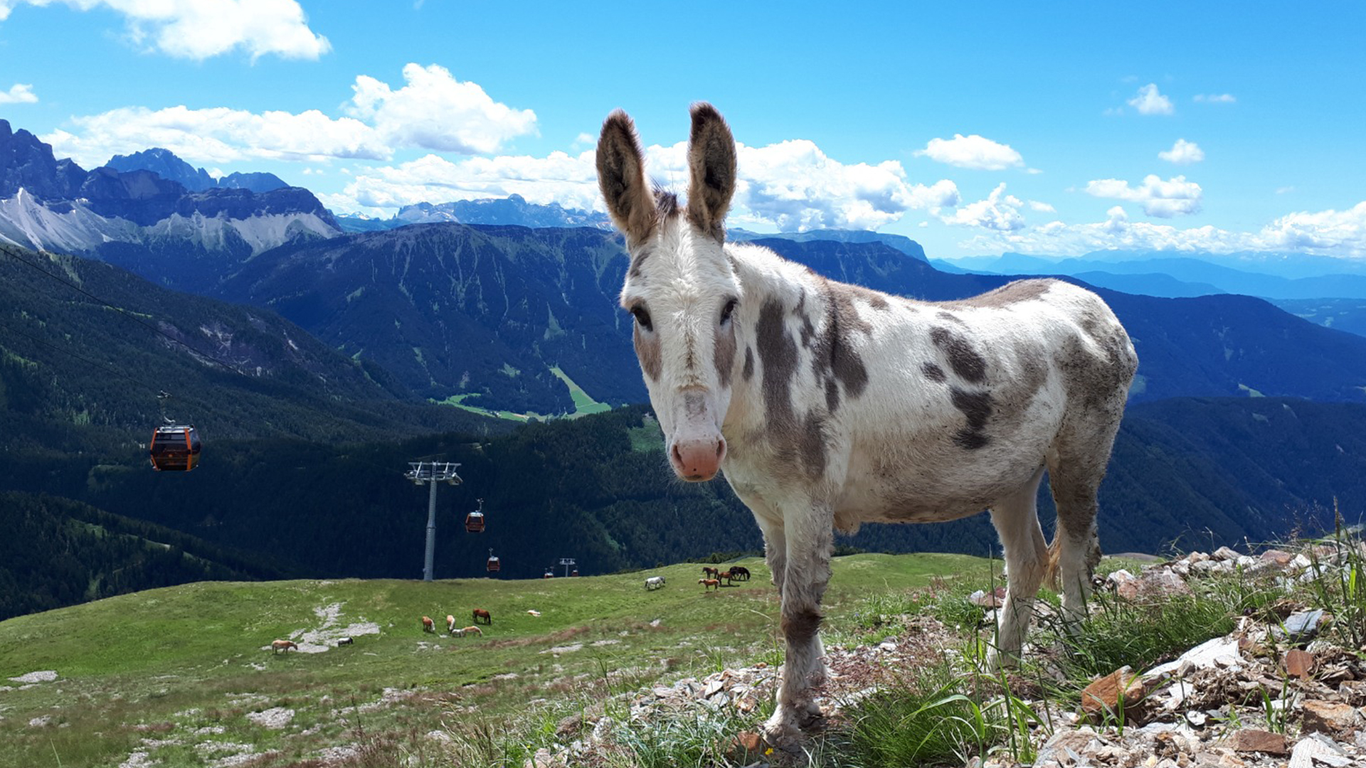 Italien Auswandern Landschaft Tirol